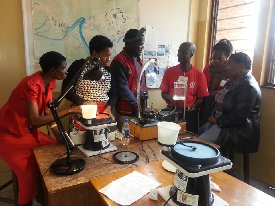 Short Lapidary Training