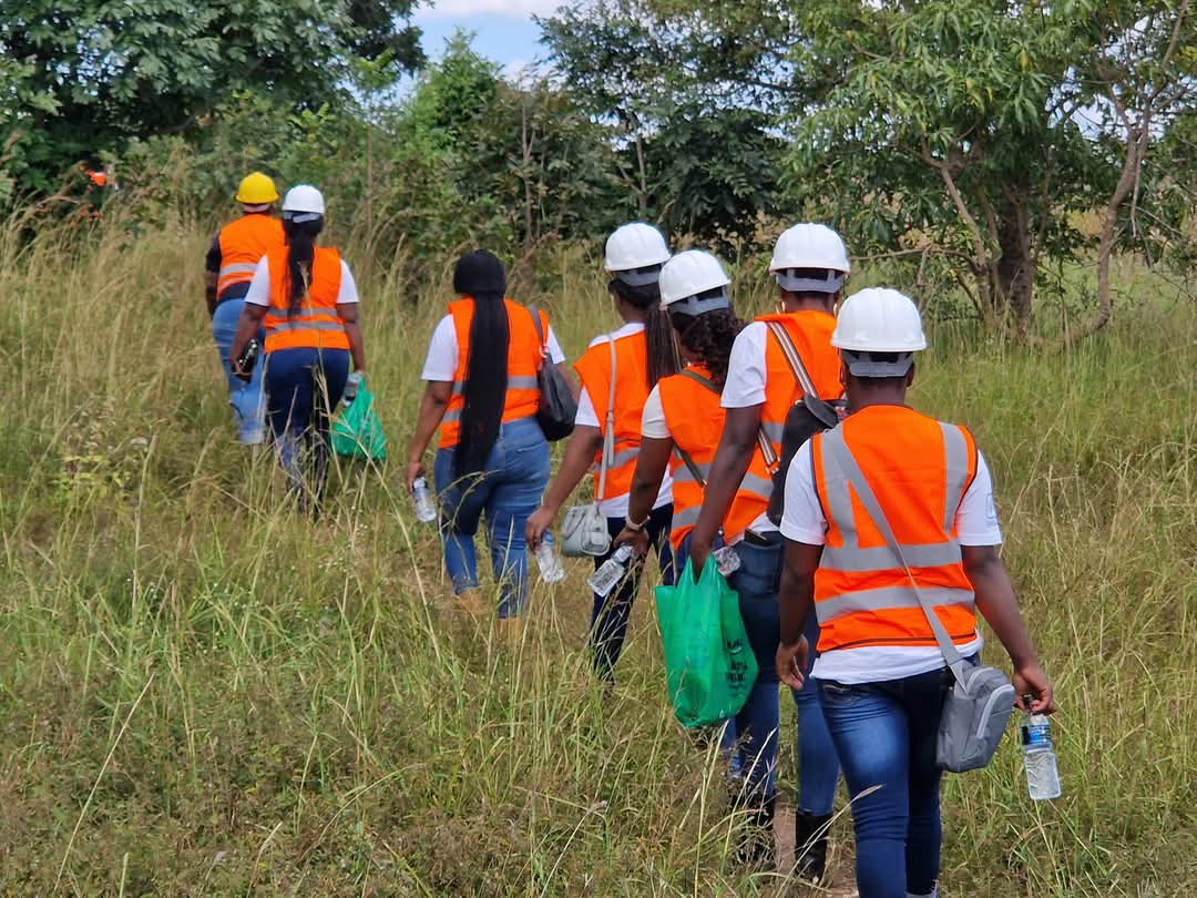 Mining Safari (visits)